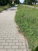 Foto: Geh- und Radweg 